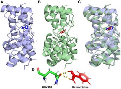 Computer-aided identification of Mycobacterium tuberculosis resuscitation-promoting factor B (RpfB) inhibitors from Gymnema sylvestre natural products